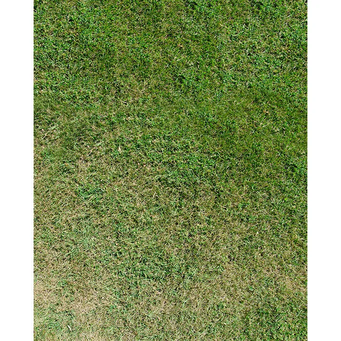 Faded Grass