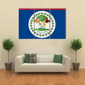 Flag Of Belize Canvas Wall Art