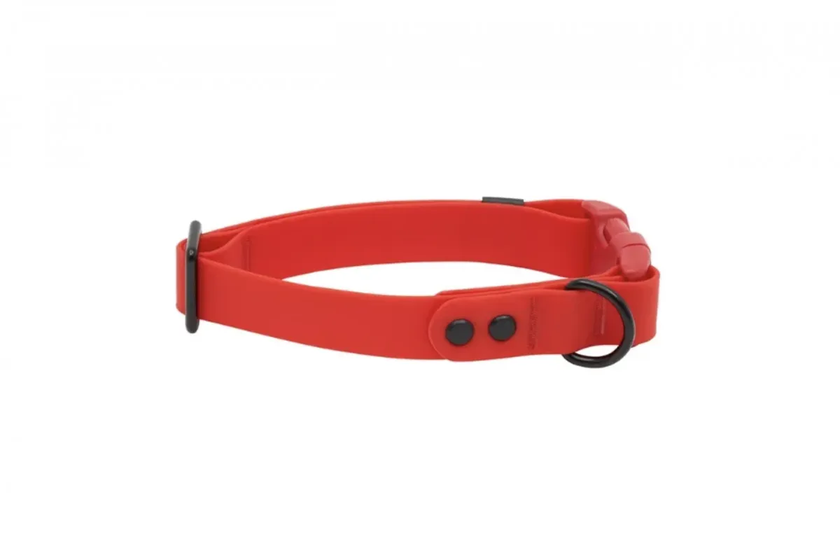 RC Pets Waterproof Collar