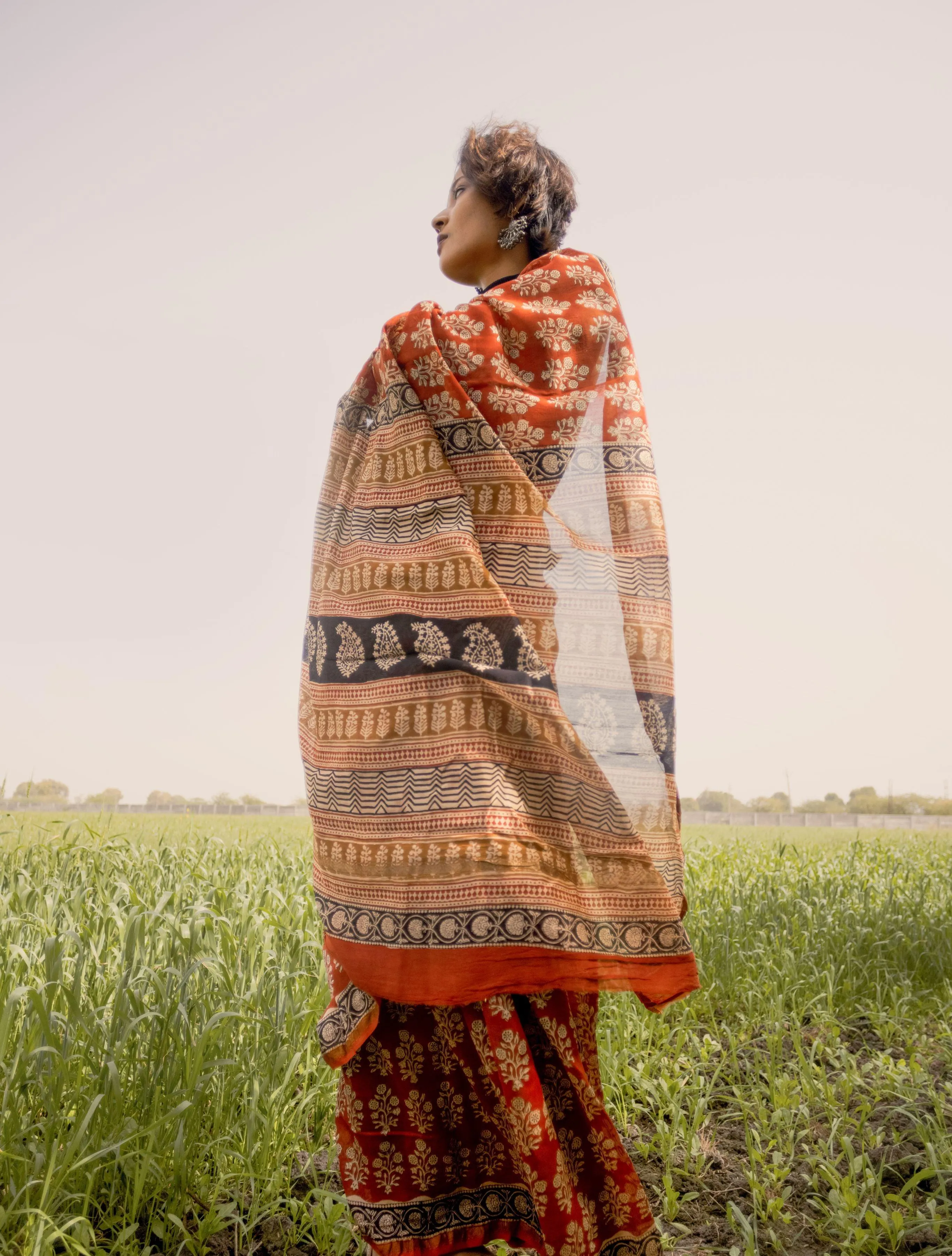 Roheda Mughal Syahi Begar Chanderi Saree