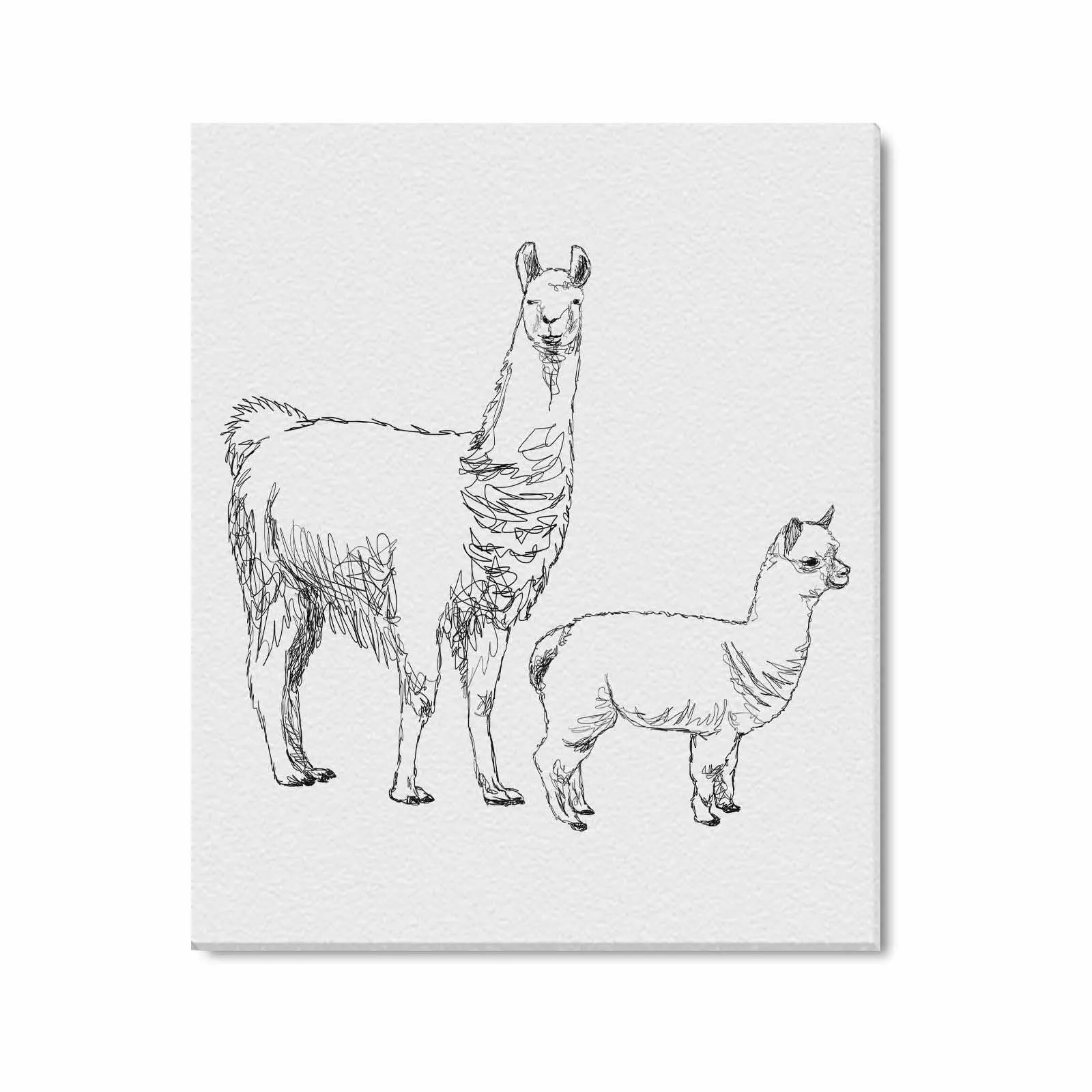 Uniquely You Wall Art / Llama  Frame Canvas Print 20"x24"