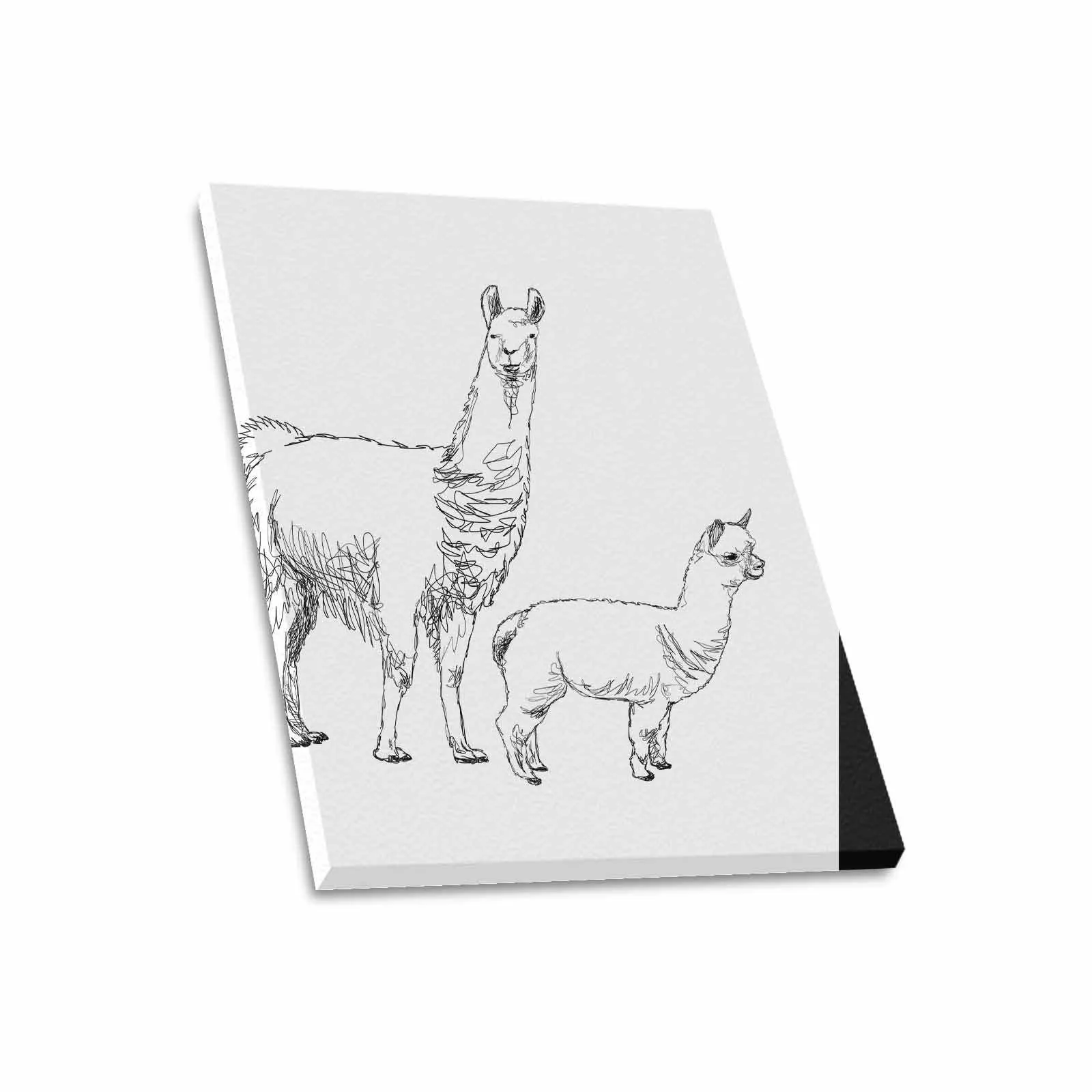 Uniquely You Wall Art / Llama  Frame Canvas Print 20"x24"