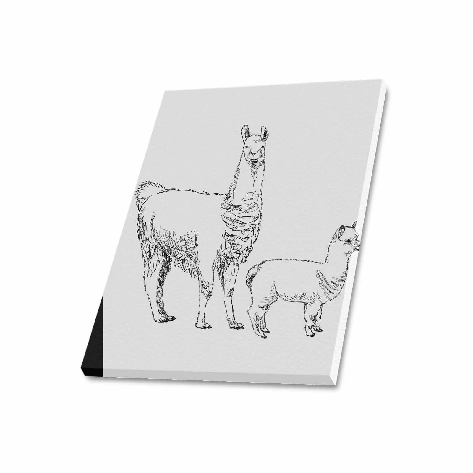 Uniquely You Wall Art / Llama  Frame Canvas Print 20"x24"