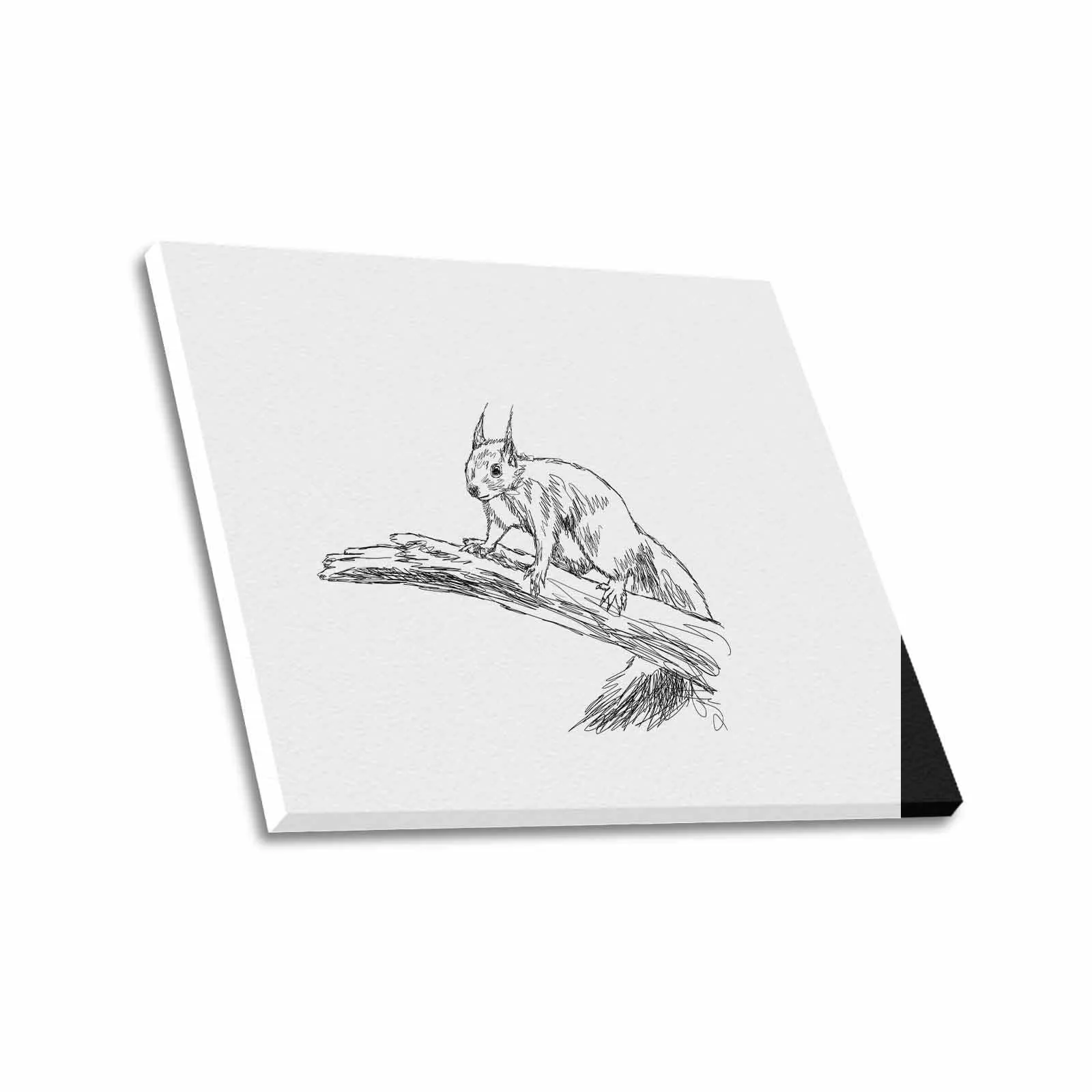 Uniquely You Wall Art / Squirrel  Frame Canvas Print 24"x20"